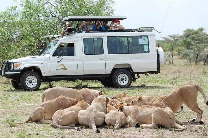 15 Days trip Tanzania Safari