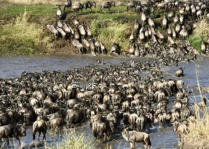 5 Days Kenya Safari Wildlife & Culture