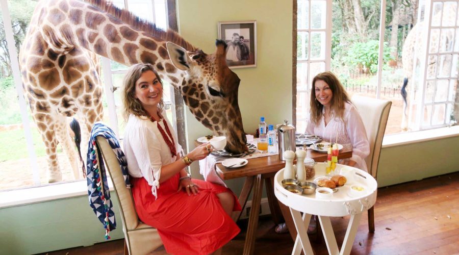 Giraffe-Manor-Nairobi-Kenya